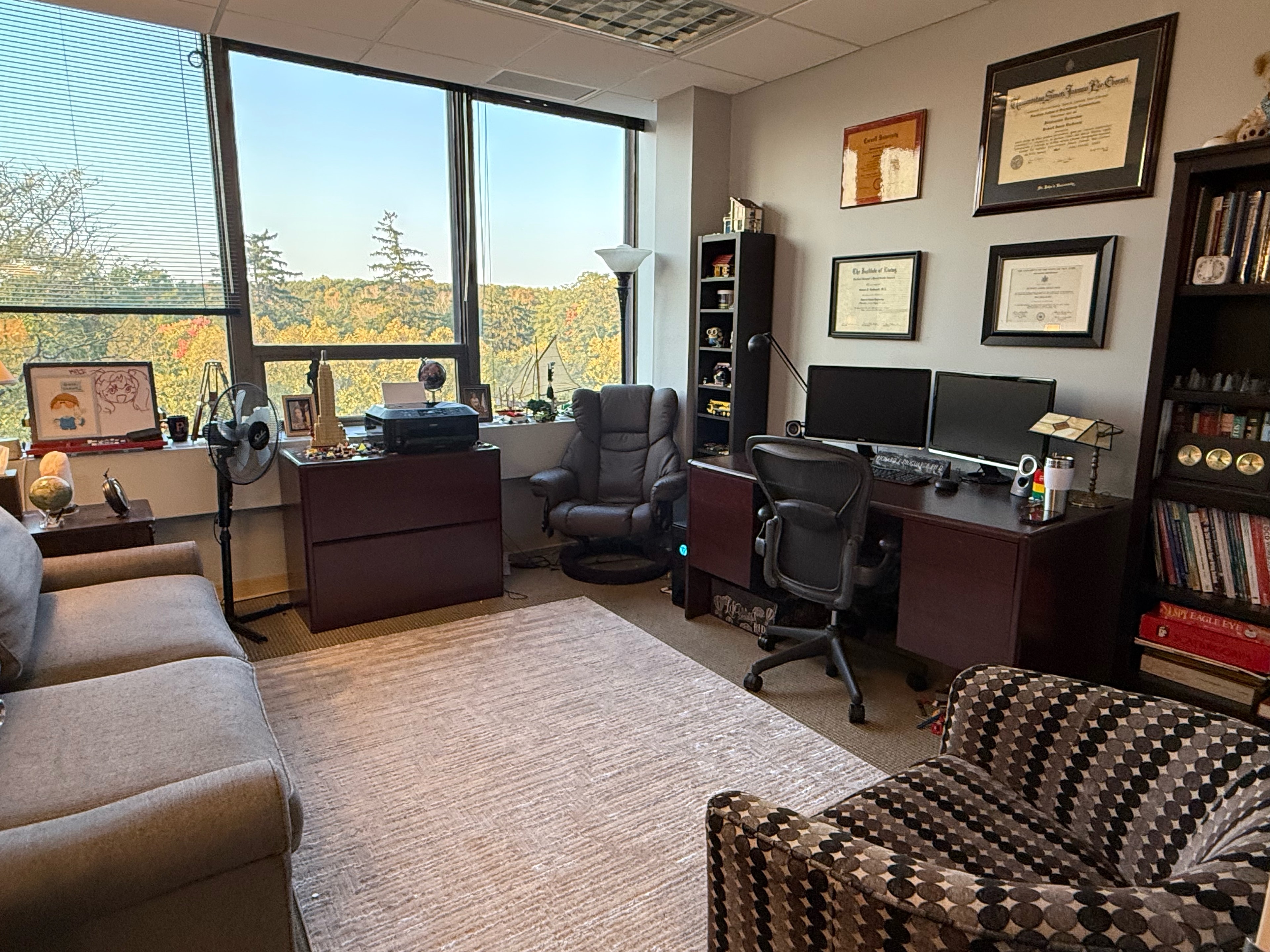 Dr. DioGuardi's private therapy office with credentials on the wall and a view of the trees